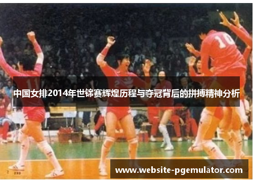 中国女排2014年世锦赛辉煌历程与夺冠背后的拼搏精神分析