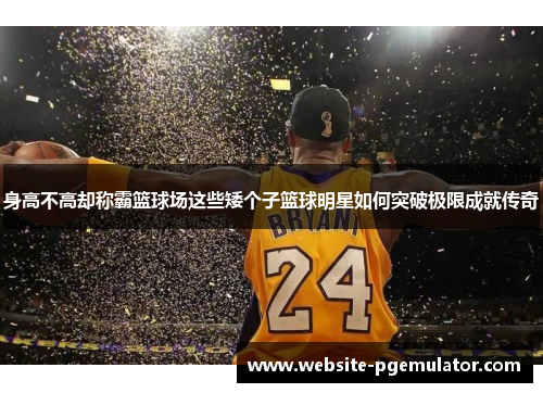 身高不高却称霸篮球场这些矮个子篮球明星如何突破极限成就传奇